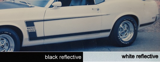 1969 69 Boss 302 Stripe Kit